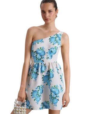 Anthro Sachin & Babi White/Blue Floral Addison One-Shoulder Mini Dress (8)